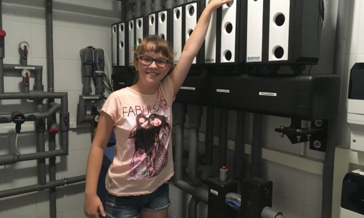 Komplett épületgépészeti kivitelezés, 2014. Balatonfüred